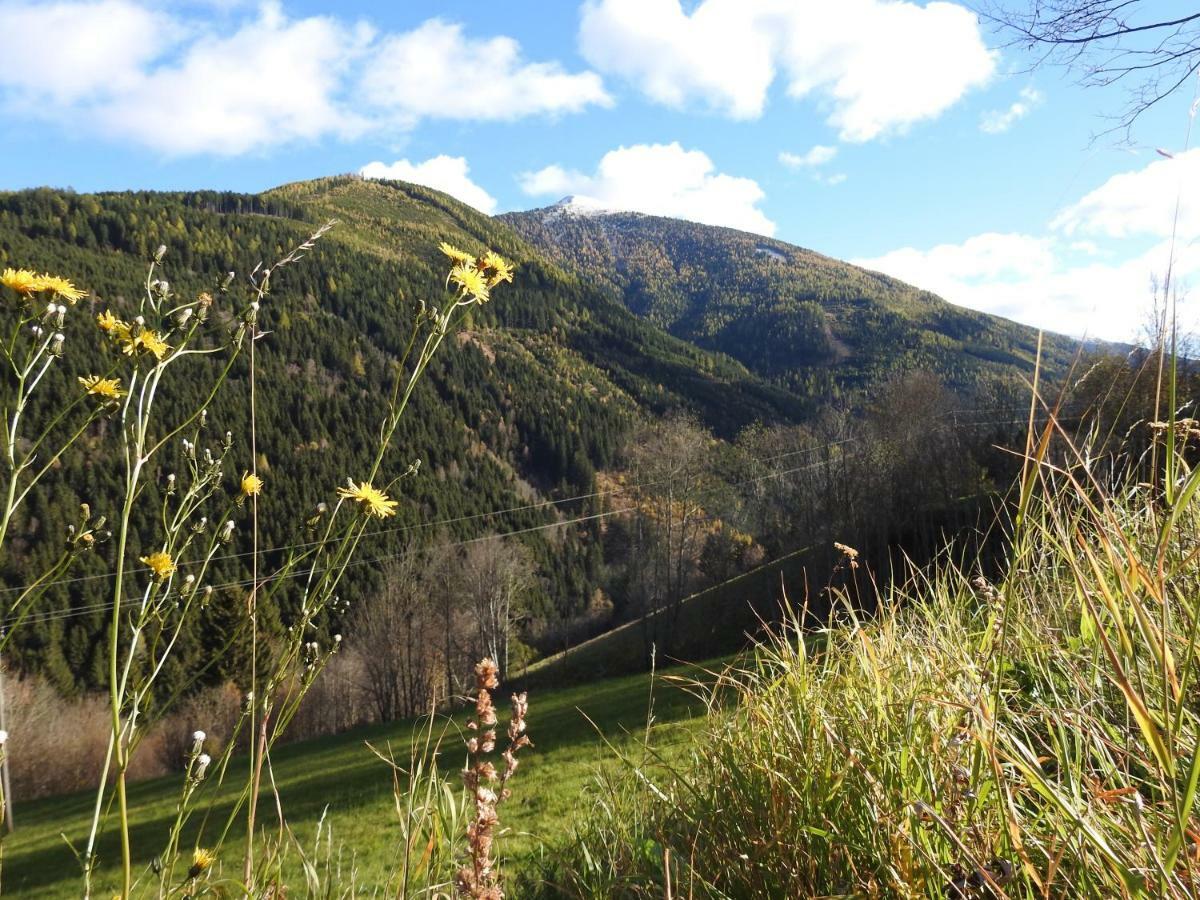 Kristabauer Сasa de vacaciones Predlitz