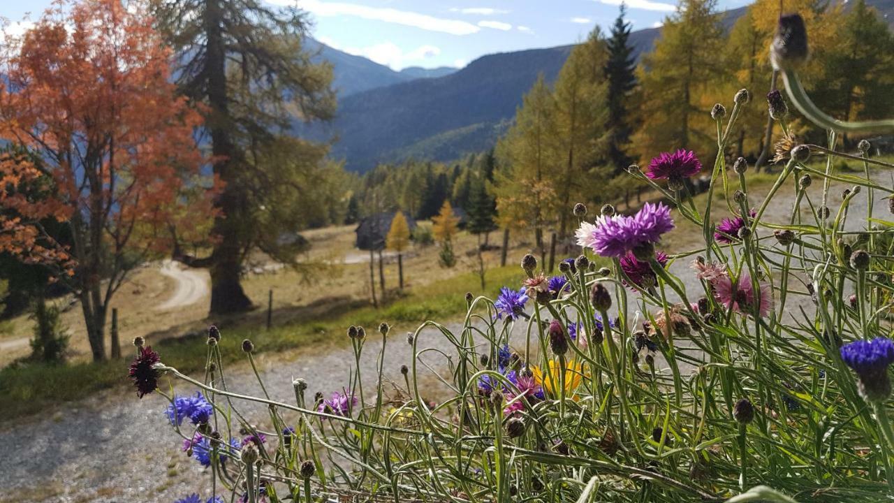 Kristabauer Сasa de vacaciones